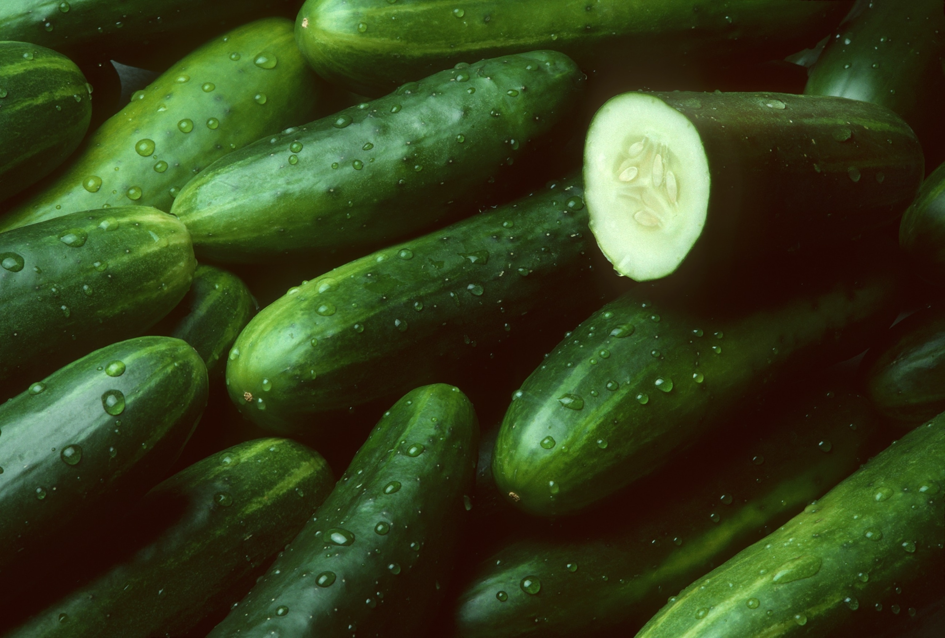 PHOTO: The Centers for Disease Control and Prevention has issued a warning for a multistate outbreak of salmonella linked to cucumbers.