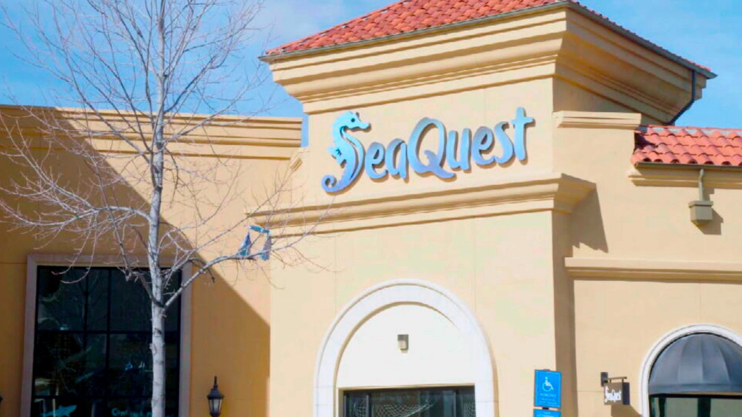 SeaQuest CEO resigns following accusations of animal neglect at aquarium chain