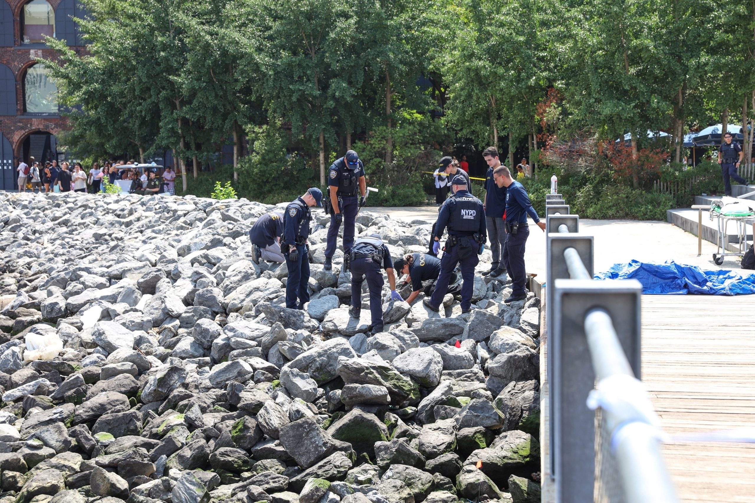 Second Discovery of Human Bones in Brooklyn Park within One Week