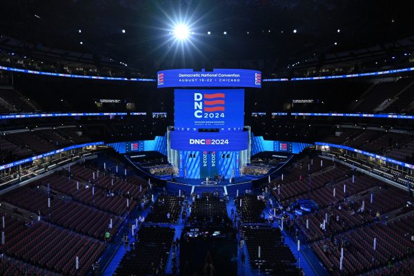 The DNC Platform highlights gun violence as a key issue