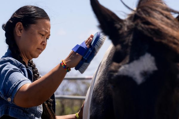 The Role of Spirit Horse Ranch Horses in Assisting Maui Wildfire Survivors with Grief Processing