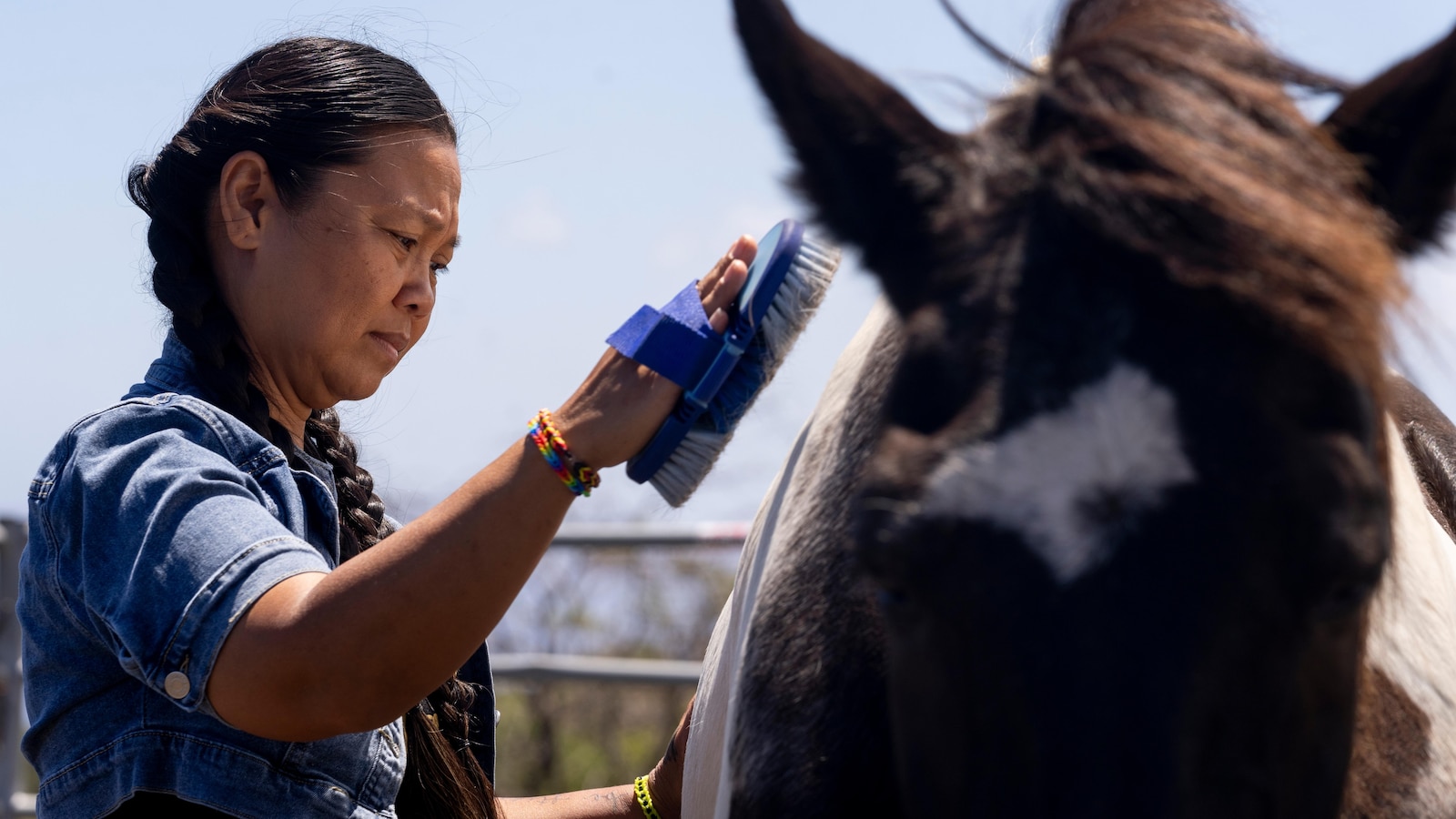 The Role of Spirit Horse Ranch Horses in Assisting Maui Wildfire Survivors with Grief Processing