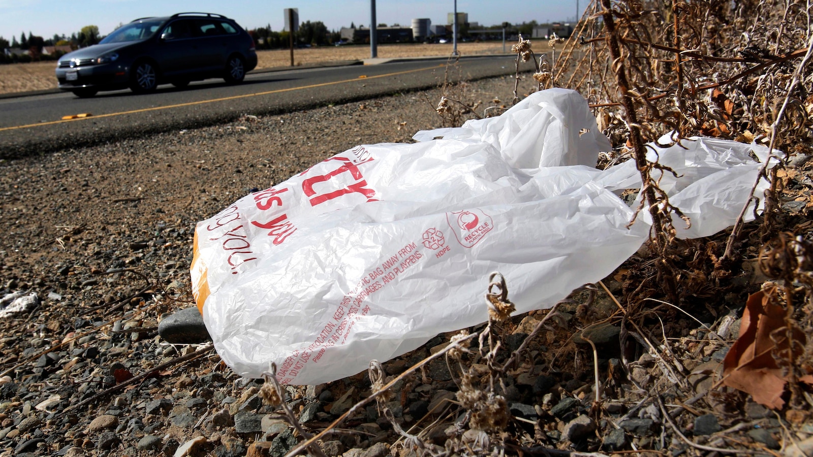 California Governor Signs Legislation Prohibiting the Use of Plastic Shopping Bags at Grocery Stores