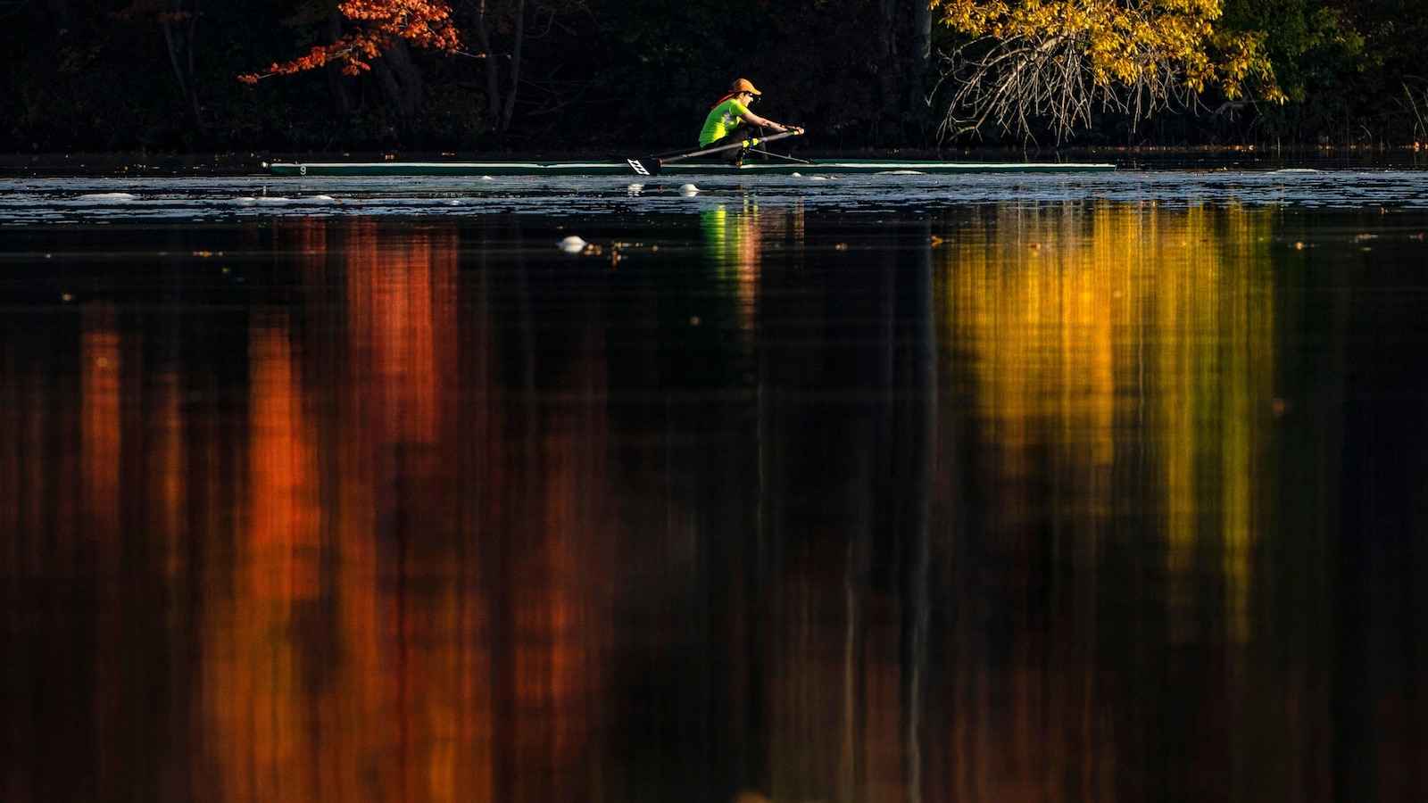 Experience Vibrant Fall Foliage in the Midwest and Beyond