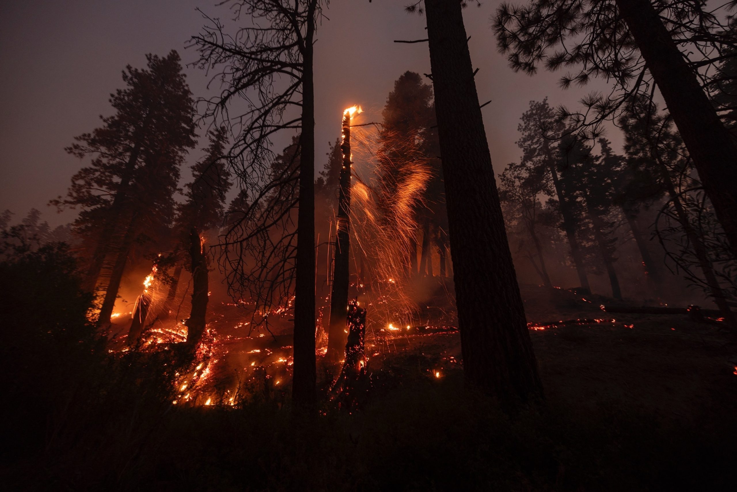 Update on California Bridge Fire: Wildfire growth slows due to cooler weather, evacuations ongoing