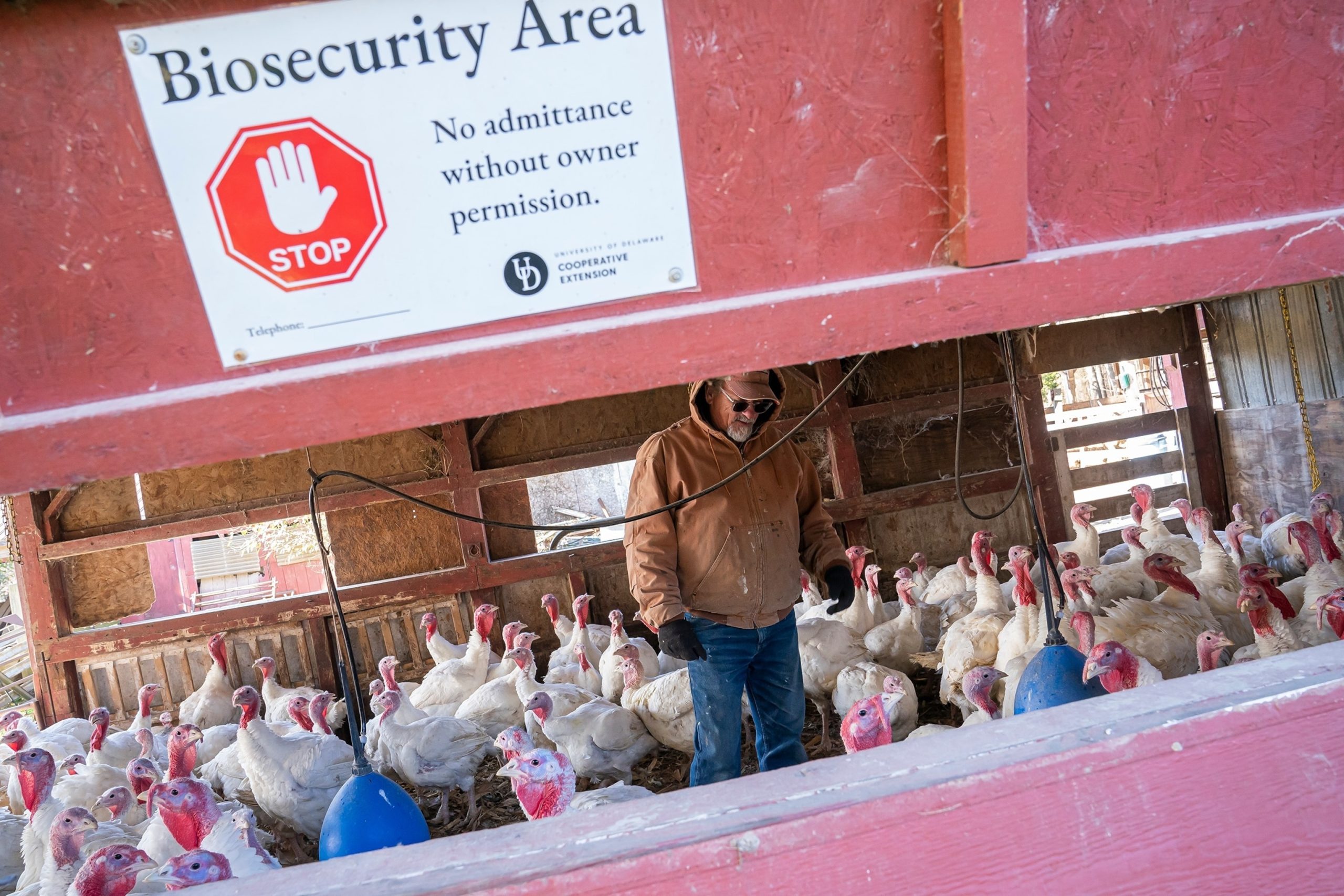 United States Allocates $72 Million to Support Vaccine Manufacturers in Advancing Bird Flu Shot Preparedness